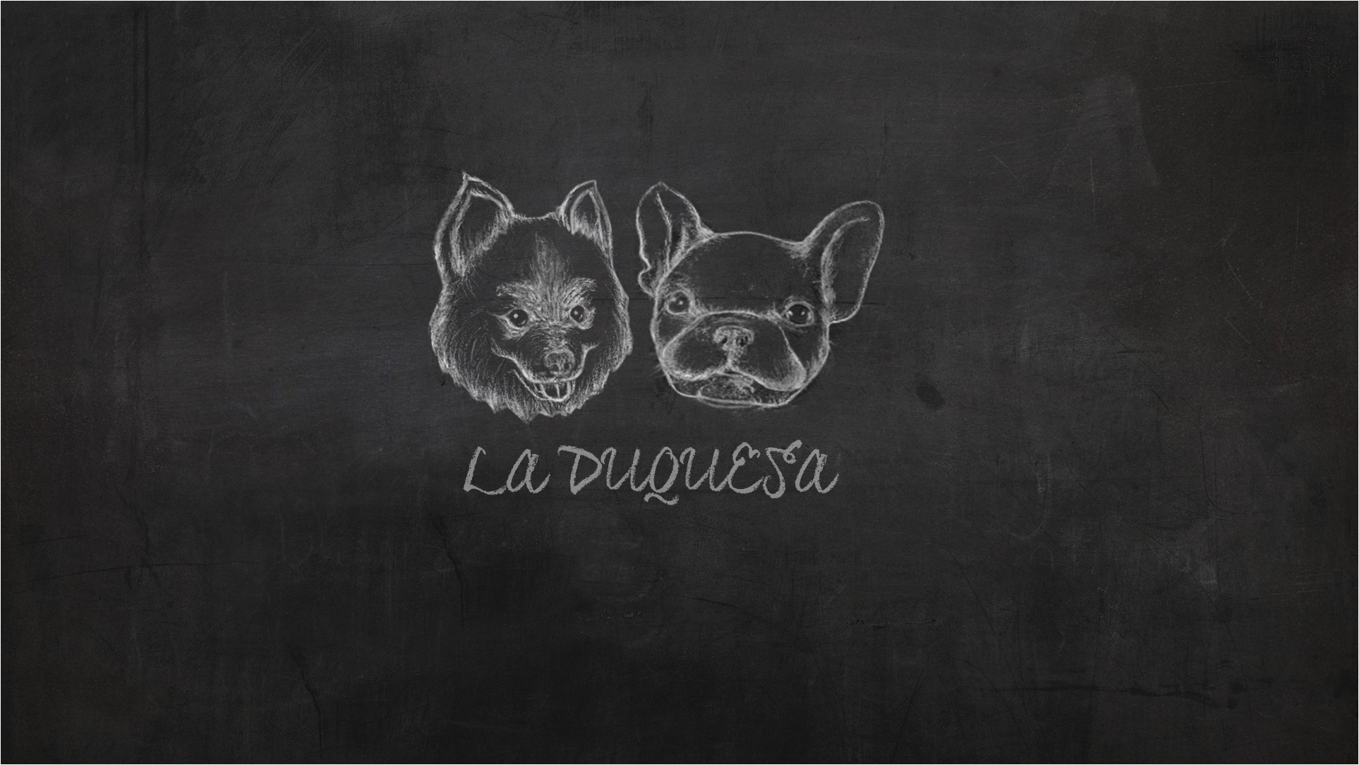 Frenchie Pomsky